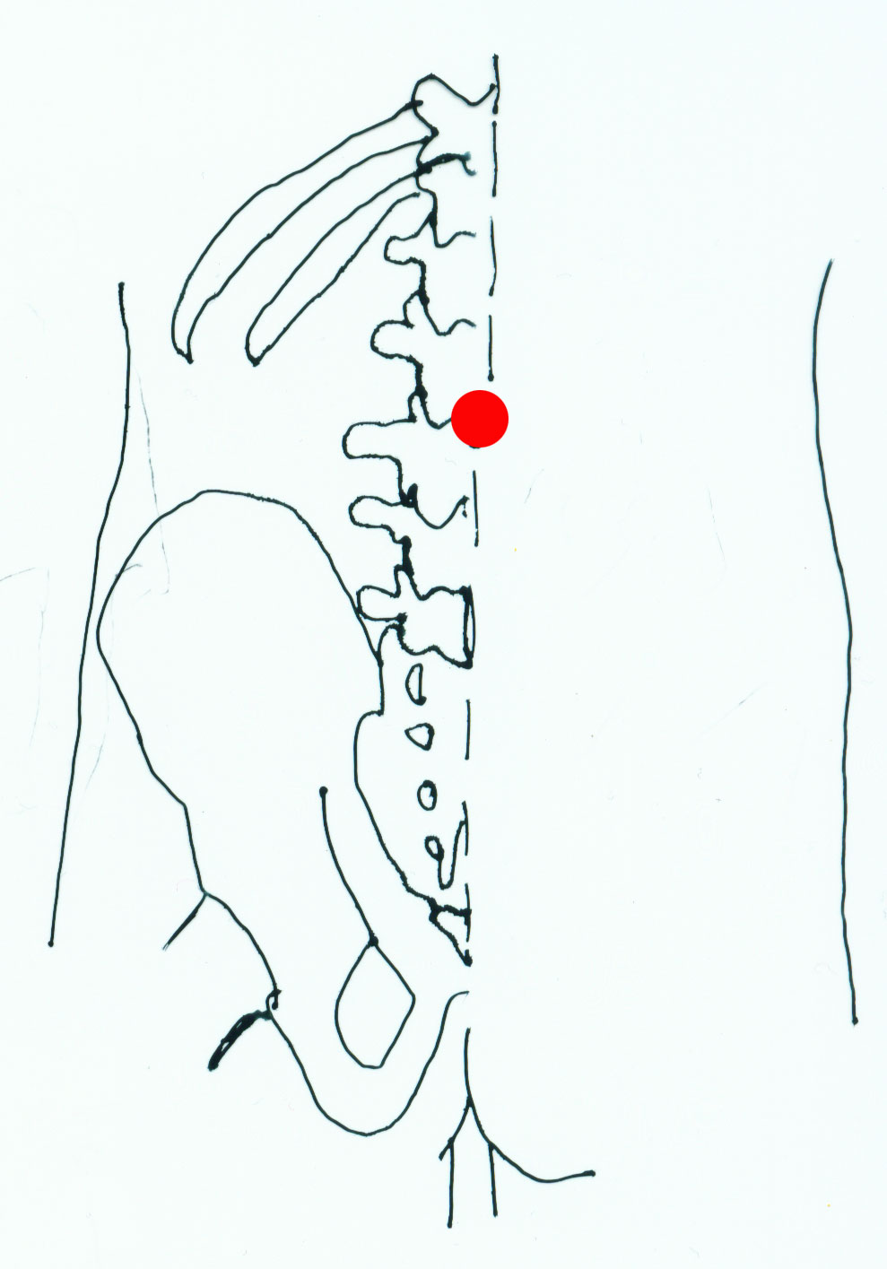 ming men - acupuncture point picture